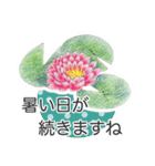 手描きの花 日常使いと季節の挨拶 丁寧語（個別スタンプ：12）