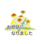 手描きの花 日常使いと季節の挨拶 丁寧語（個別スタンプ：28）