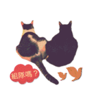 PTPT Cat（個別スタンプ：8）