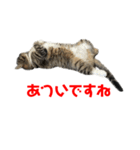 ぐーさまだけじゃない（個別スタンプ：20）