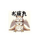 なんかうるさいフクロウ殿（個別スタンプ：1）