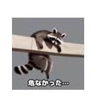 タフネスあにまるアライグマコレクション（個別スタンプ：12）