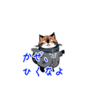 新登場！冬服の猫達LINEスタンプ！（個別スタンプ：11）