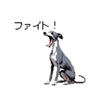 ドット絵 イタリアングレーハウンド 犬（個別スタンプ：4）