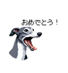 ドット絵 イタリアングレーハウンド 犬（個別スタンプ：5）