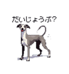 ドット絵 イタリアングレーハウンド 犬（個別スタンプ：8）