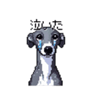 ドット絵 イタリアングレーハウンド 犬（個別スタンプ：15）