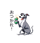 ドット絵 イタリアングレーハウンド 犬（個別スタンプ：18）