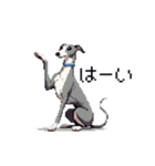 ドット絵 イタリアングレーハウンド 犬（個別スタンプ：23）