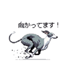 ドット絵 イタリアングレーハウンド 犬（個別スタンプ：25）