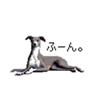 ドット絵 イタリアングレーハウンド 犬（個別スタンプ：29）