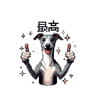 ドット絵 イタリアングレーハウンド 犬（個別スタンプ：36）