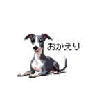 ドット絵 イタリアングレーハウンド 犬（個別スタンプ：38）