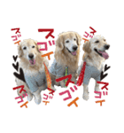 レイ＆ルナ＆ぐースタンプ（個別スタンプ：11）