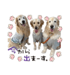 レイ＆ルナ＆ぐースタンプ（個別スタンプ：14）