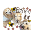 レイ＆ルナ＆ぐースタンプ（個別スタンプ：15）