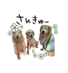レイ＆ルナ＆ぐースタンプ（個別スタンプ：39）