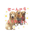 レイ＆ルナ＆ぐースタンプ（個別スタンプ：40）