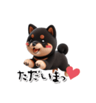 SHIBA GA SUKI ！ 1（個別スタンプ：12）