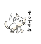 なんとも奇妙なねこ（ほぼ敬語）（個別スタンプ：31）