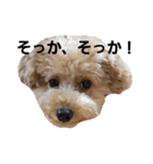 まろんの日常切り抜き（個別スタンプ：32）