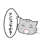 ひと言伝えるふきだしネコ 3（個別スタンプ：30）