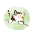 うちの子三毛猫！(にほんねこ)（個別スタンプ：38）