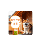 うちの近所の柴犬（個別スタンプ：7）