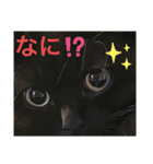 黒猫 ルナ院長123にゃんめ（個別スタンプ：6）