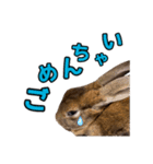 オレの魂のスタンブ（個別スタンプ：2）