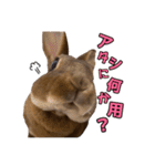 オレの魂のスタンブ（個別スタンプ：3）