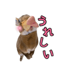 オレの魂のスタンブ（個別スタンプ：5）