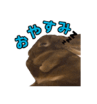 オレの魂のスタンブ（個別スタンプ：6）