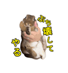 オレの魂のスタンブ（個別スタンプ：9）