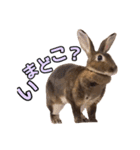 オレの魂のスタンブ（個別スタンプ：10）