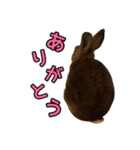 オレの魂のスタンブ（個別スタンプ：12）