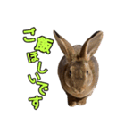 オレの魂のスタンブ（個別スタンプ：13）