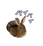 オレの魂のスタンブ（個別スタンプ：15）