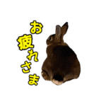 オレの魂のスタンブ（個別スタンプ：16）