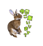 オレの魂のスタンブ（個別スタンプ：17）
