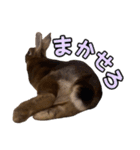 オレの魂のスタンブ（個別スタンプ：19）