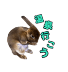 オレの魂のスタンブ（個別スタンプ：21）
