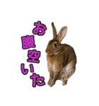 オレの魂のスタンブ（個別スタンプ：23）