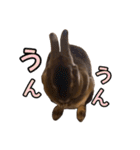 オレの魂のスタンブ（個別スタンプ：29）