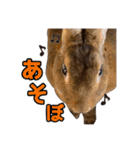 オレの魂のスタンブ（個別スタンプ：30）
