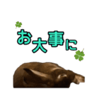 オレの魂のスタンブ（個別スタンプ：32）