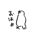 白文鳥：毎日のもちち（個別スタンプ：16）