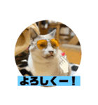 じいじと仲間たち（個別スタンプ：1）