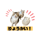 じいじと仲間たち（個別スタンプ：2）