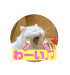 じいじと仲間たち（個別スタンプ：3）